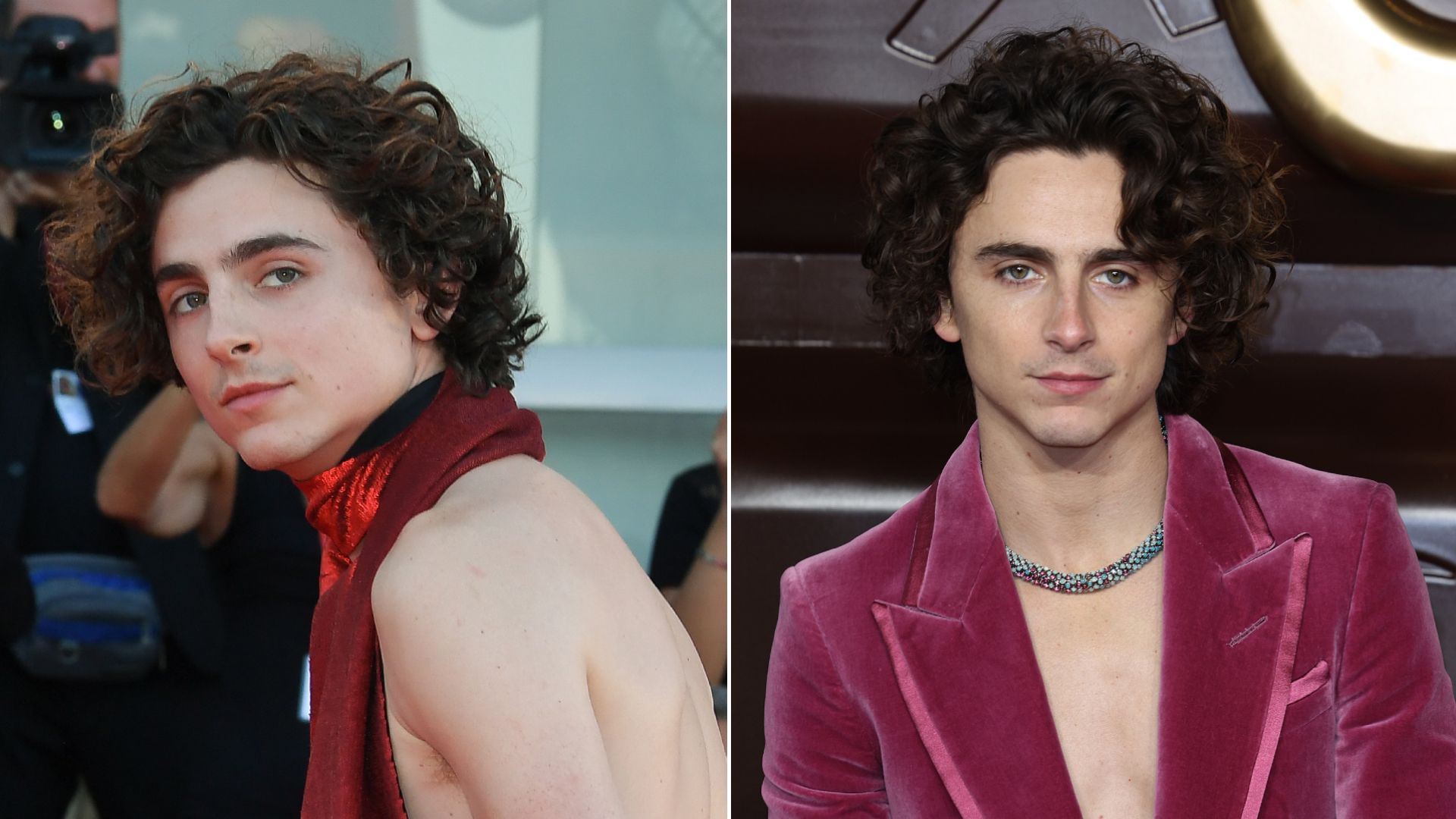 Timothée Chalamet at the 2022 Venice Film Festival (L) and the "Wonka" Premiere in 2023 (R)