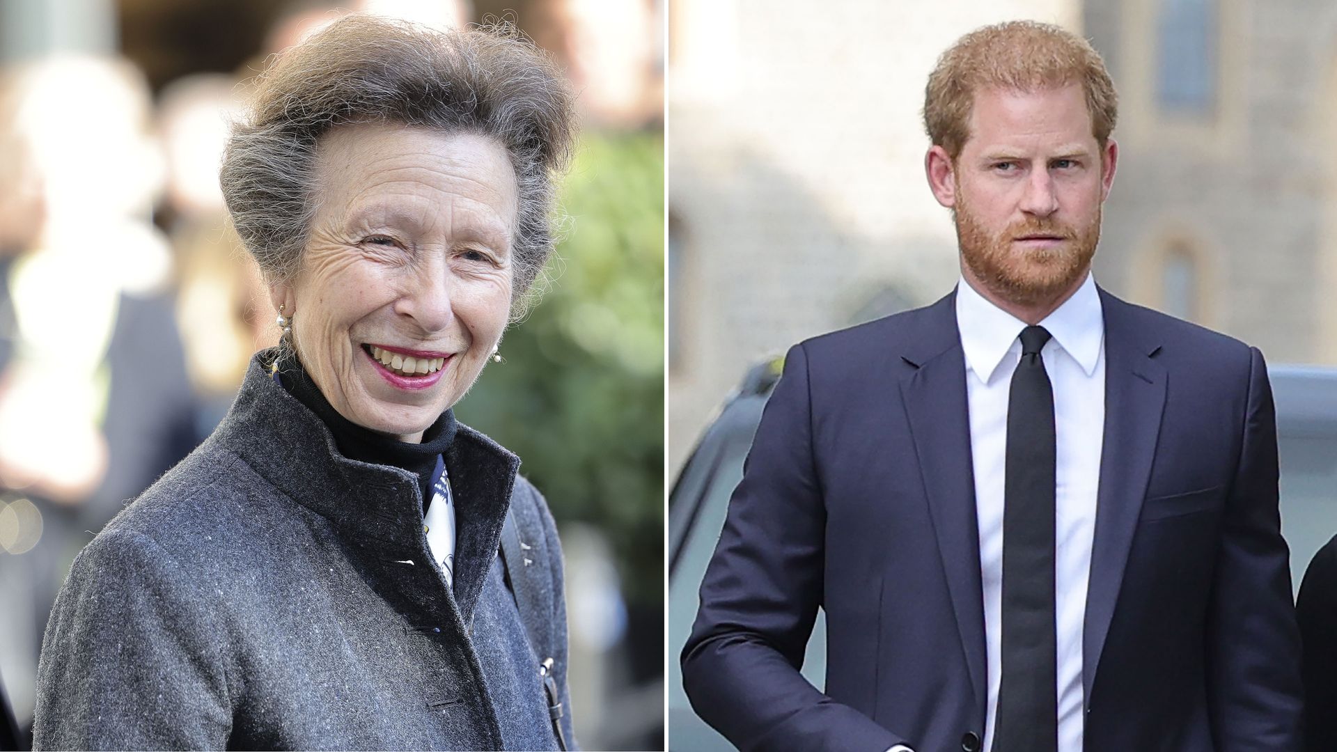 Princess Anne's kind gesture to Prince Harry after the late Queen's death revealed