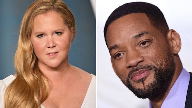 amy schumer will smith