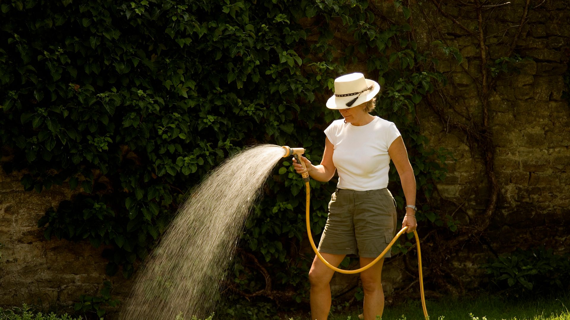 6 things making your scorched garden worse in the heatwave