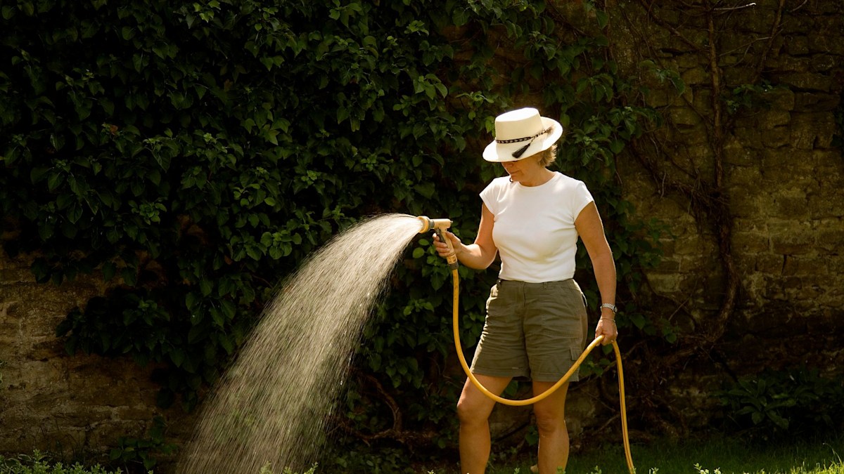6 things making your scorched garden worse in the heatwave