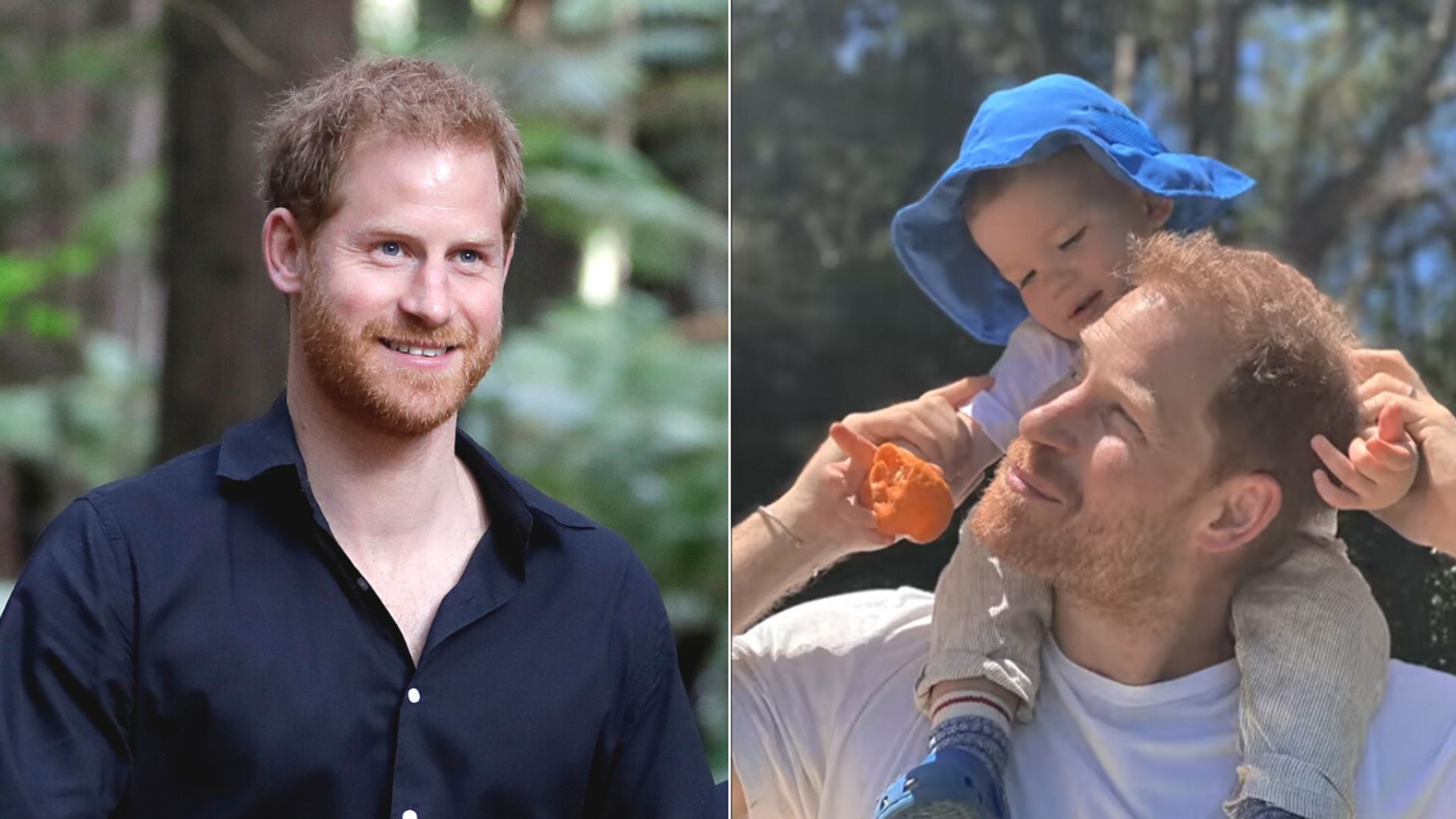 Prince harry and archie 