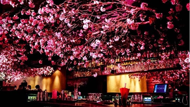 cherry blossom bar
