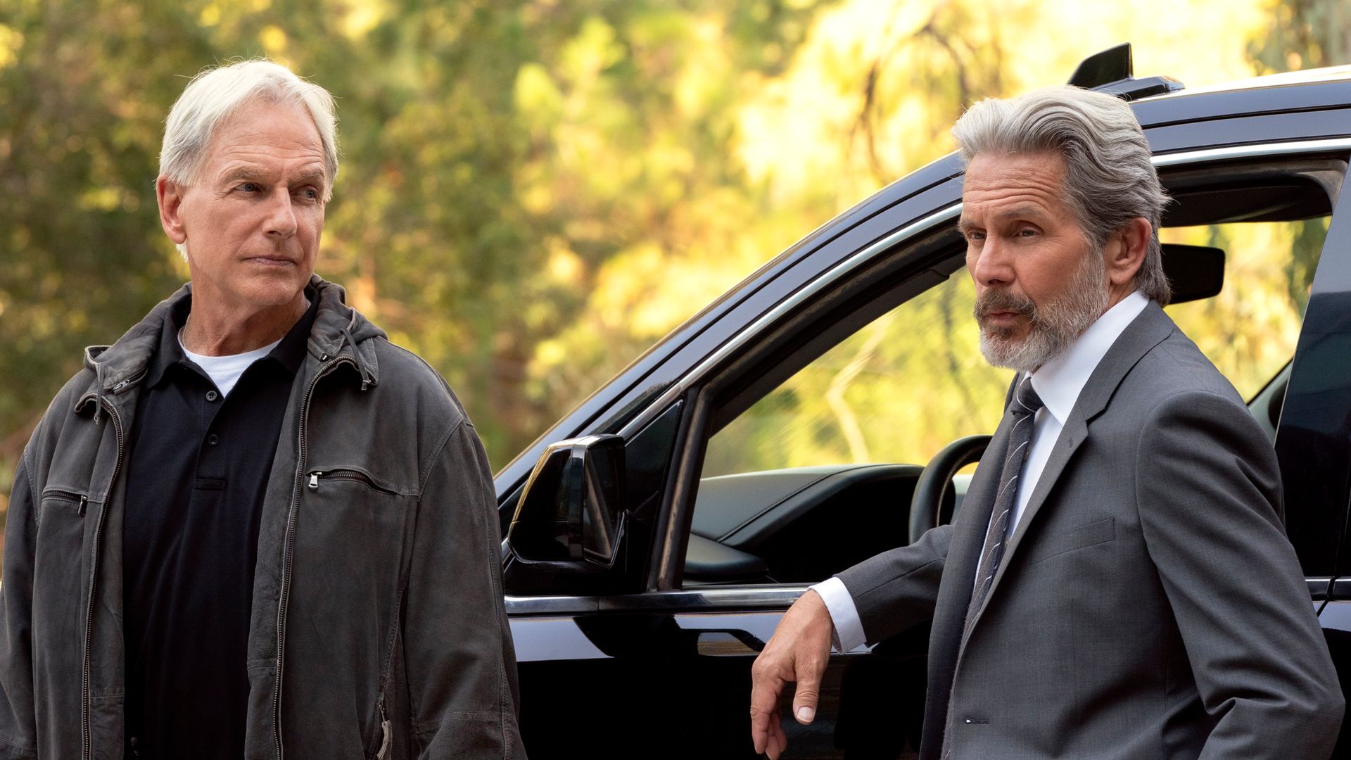 Mark Harmon as NCIS Special Agent Leroy Jethro Gibbs, Gary Cole as FBI Special Agent Alden Parker