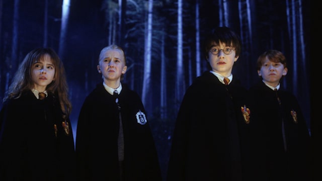 Emma Watson, Tom Felton, Daniel Radcliffe, and Rupert Grint as Hermoine, Draco, Harry and Ron in Harry Potter