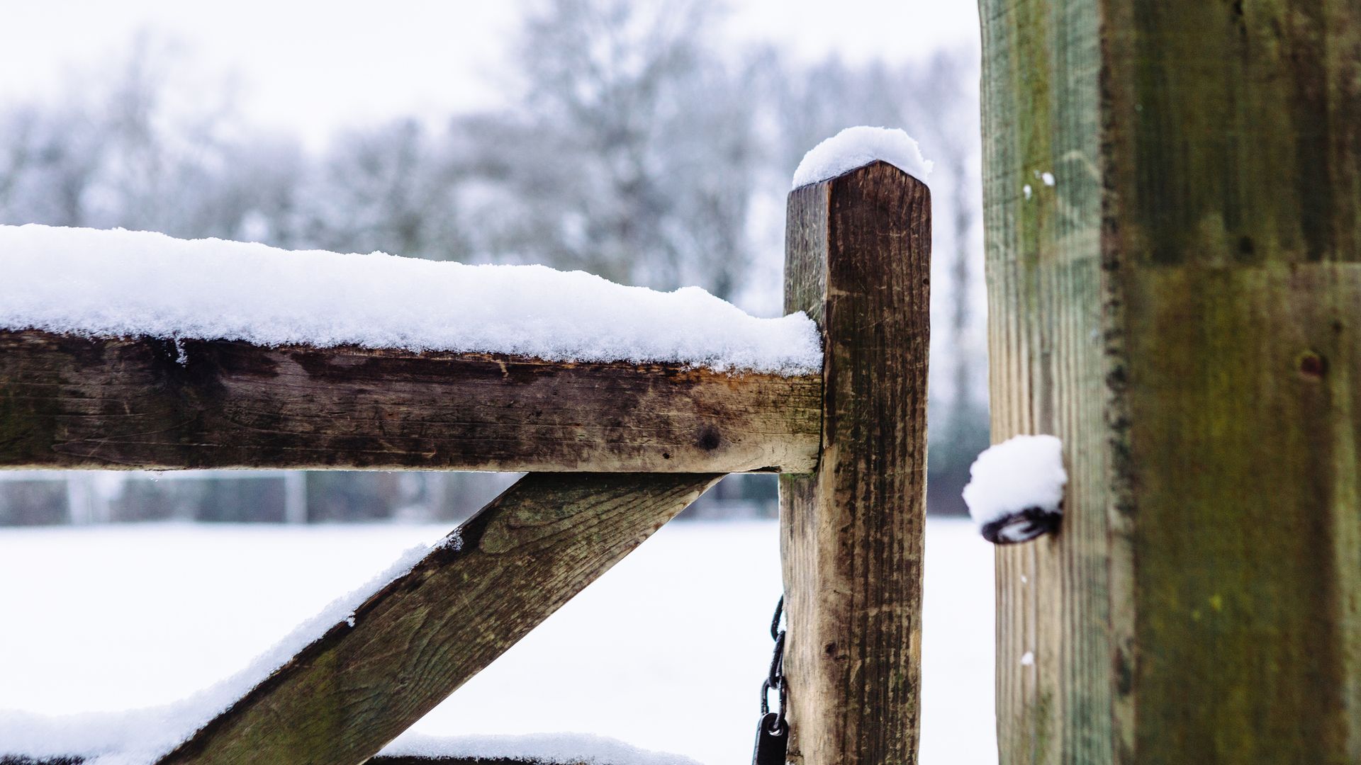 A snow covered wooden field gate in the traditional english village of Great Shelford, Cambridgeshire.