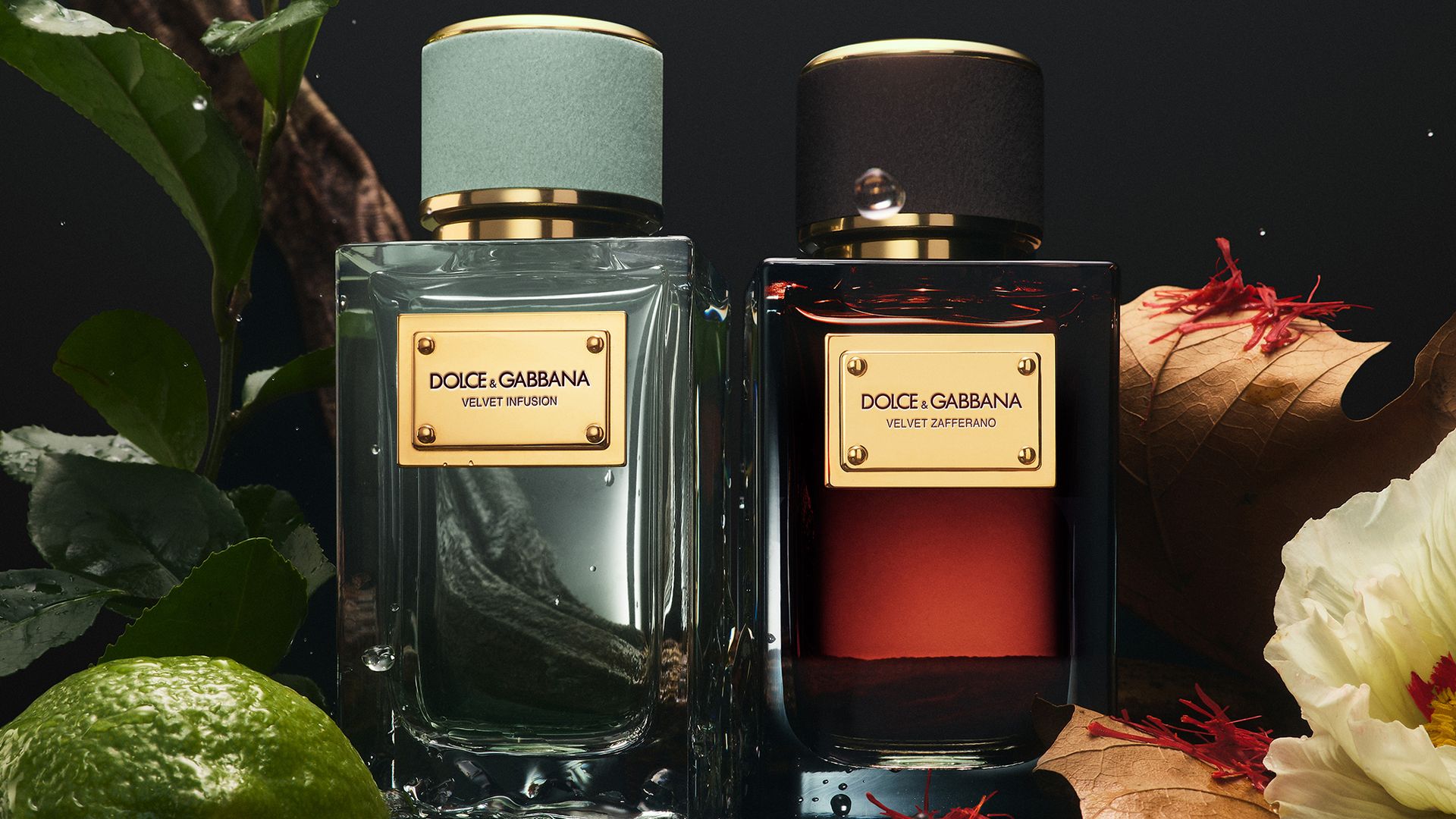 Dolce & Gabbana launches new unisex fragrances - here's everything you need to know