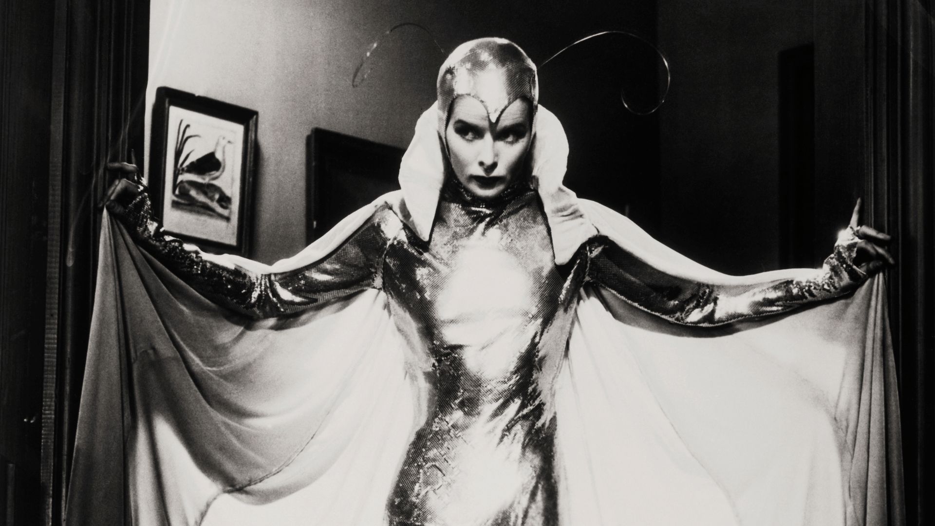 (Original Caption) Startling and unique is this moth costume, worn by Katharine Hepburn, RKO star, in her latest picture. Eight women labored 39 days to make this costume of tiny solid aluminum squares linked together.