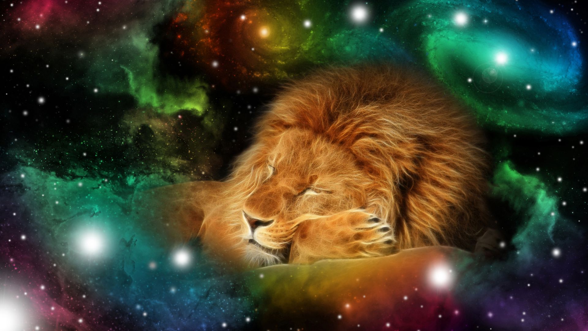 The Lionsgate portal opens on 28th July