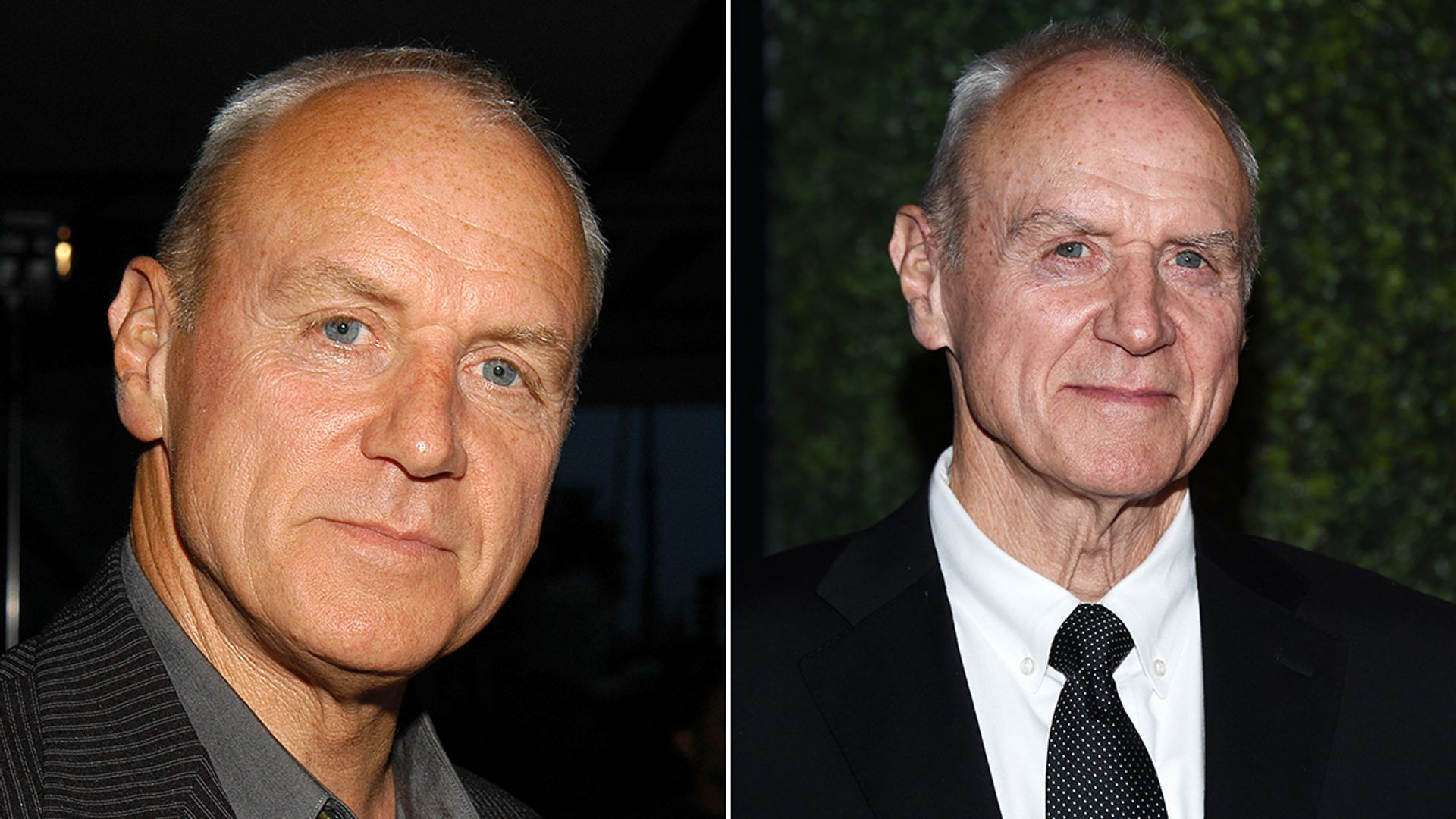 Split image of Alan Dale