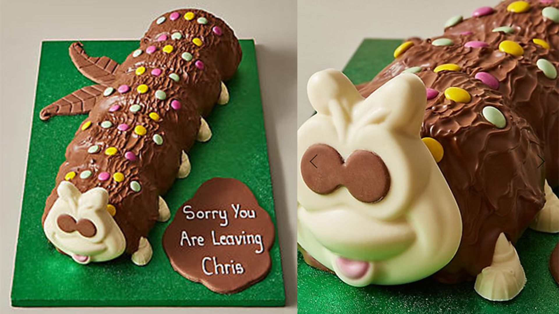 Personalised Giant Colin the Caterpillar™ Cake (Serves 40) | Colin the  Caterpillar™ | M&S