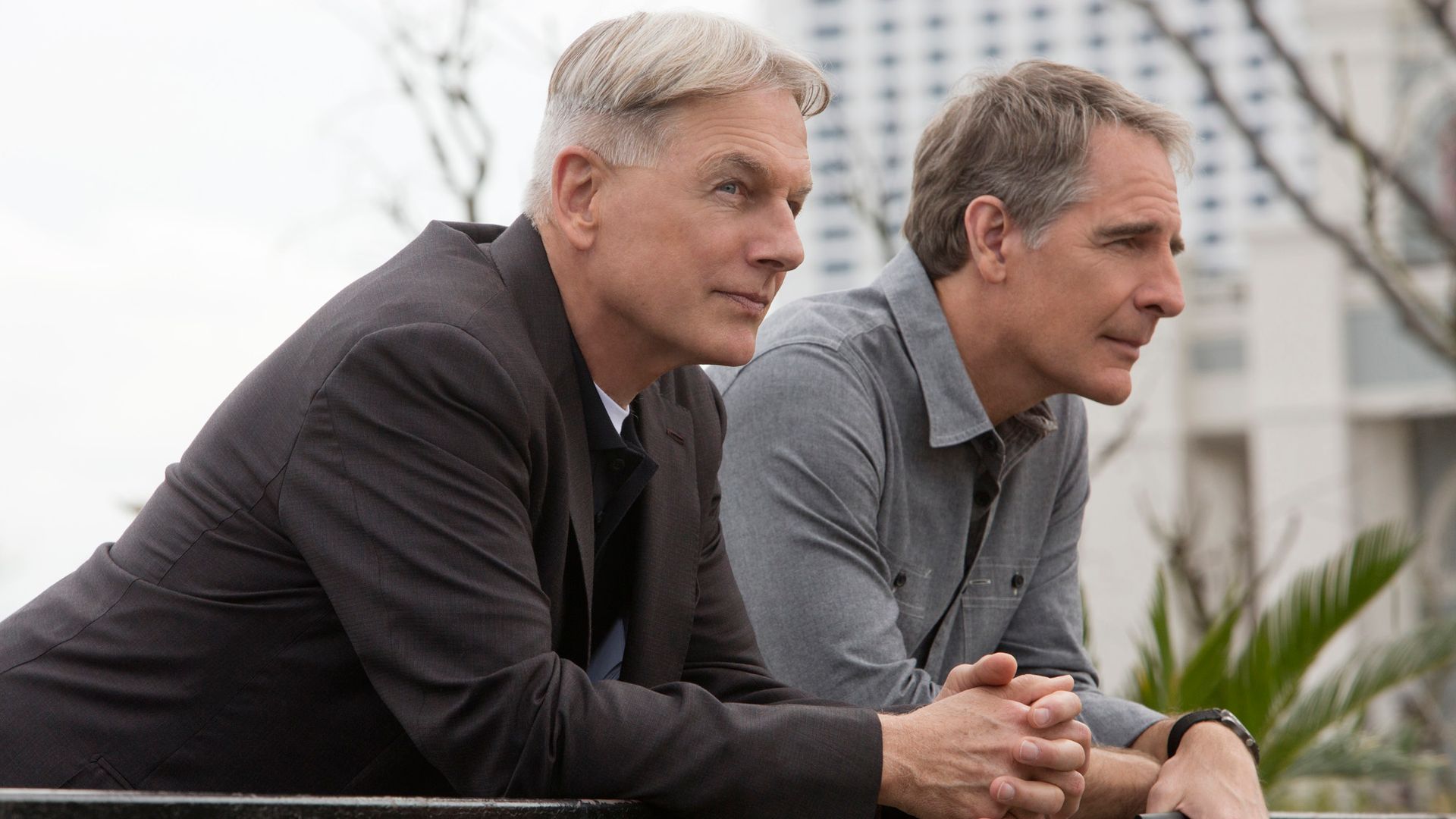 Mark Harmon and Scott Bakula on NCIS in 2014