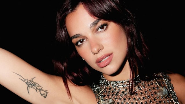 Dua Lipa poses in a mech chain mail top