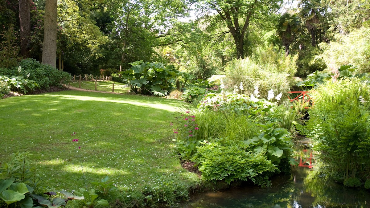 The true cost of a south-facing garden - and why over 50s are shunning them