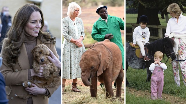 kate with dog, camilla with elephant, young william and harry with diana and pony