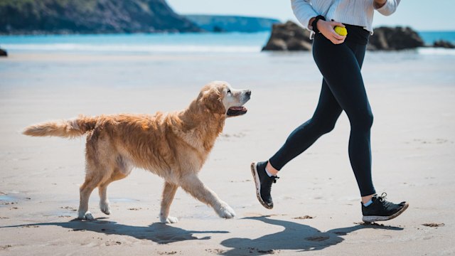 Young woman running with her dog on the beach