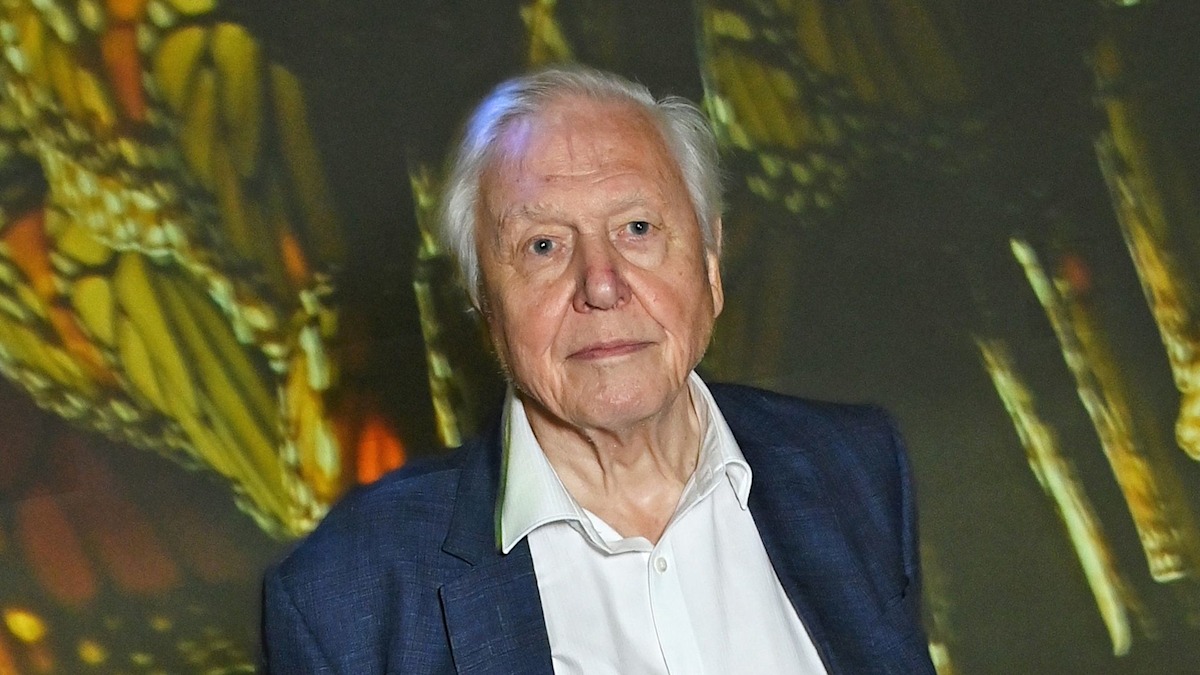 David Attenborough’s London sanctuary where he’s 'approaching end of life'