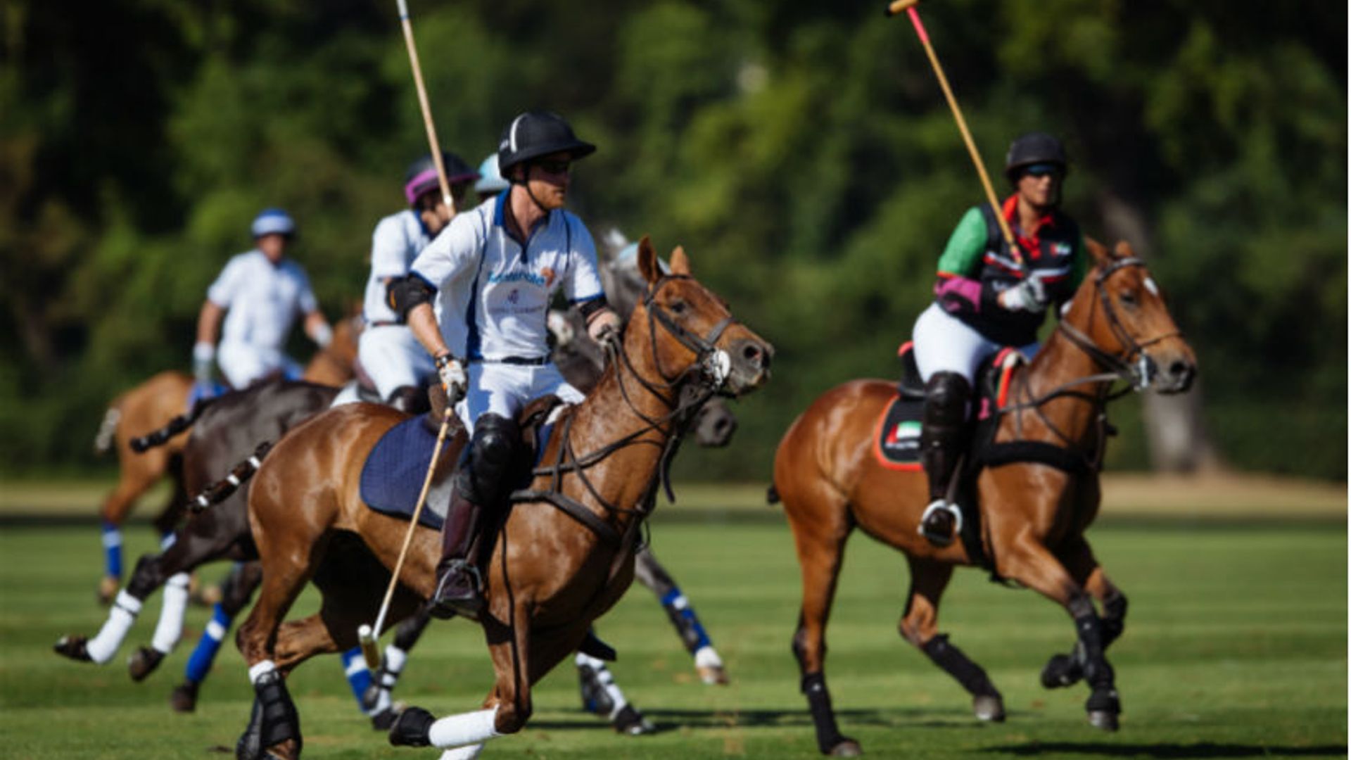 duke of sussex polo