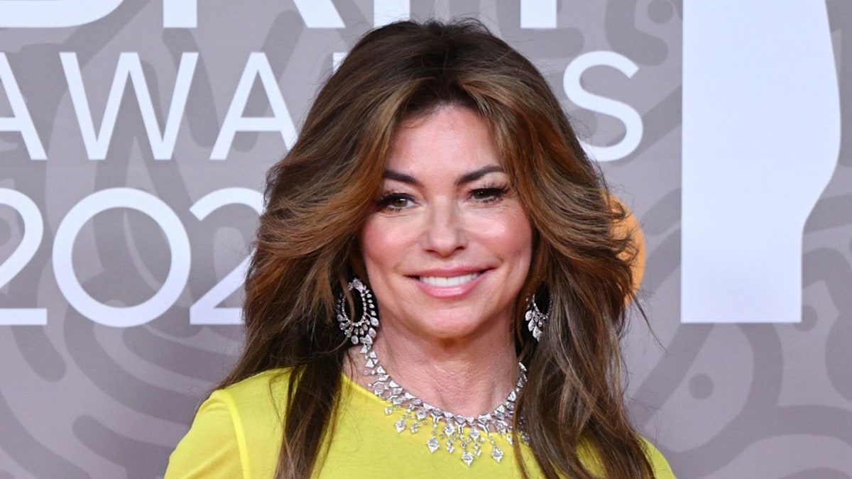 Shania Twain nearly bares all in sheer shirt and cowboy hat – and fans ...