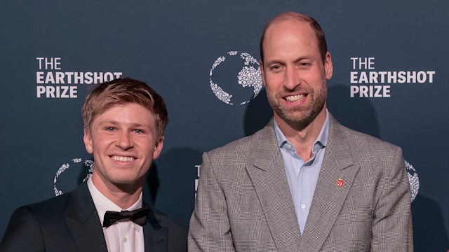 prince william robert irwin