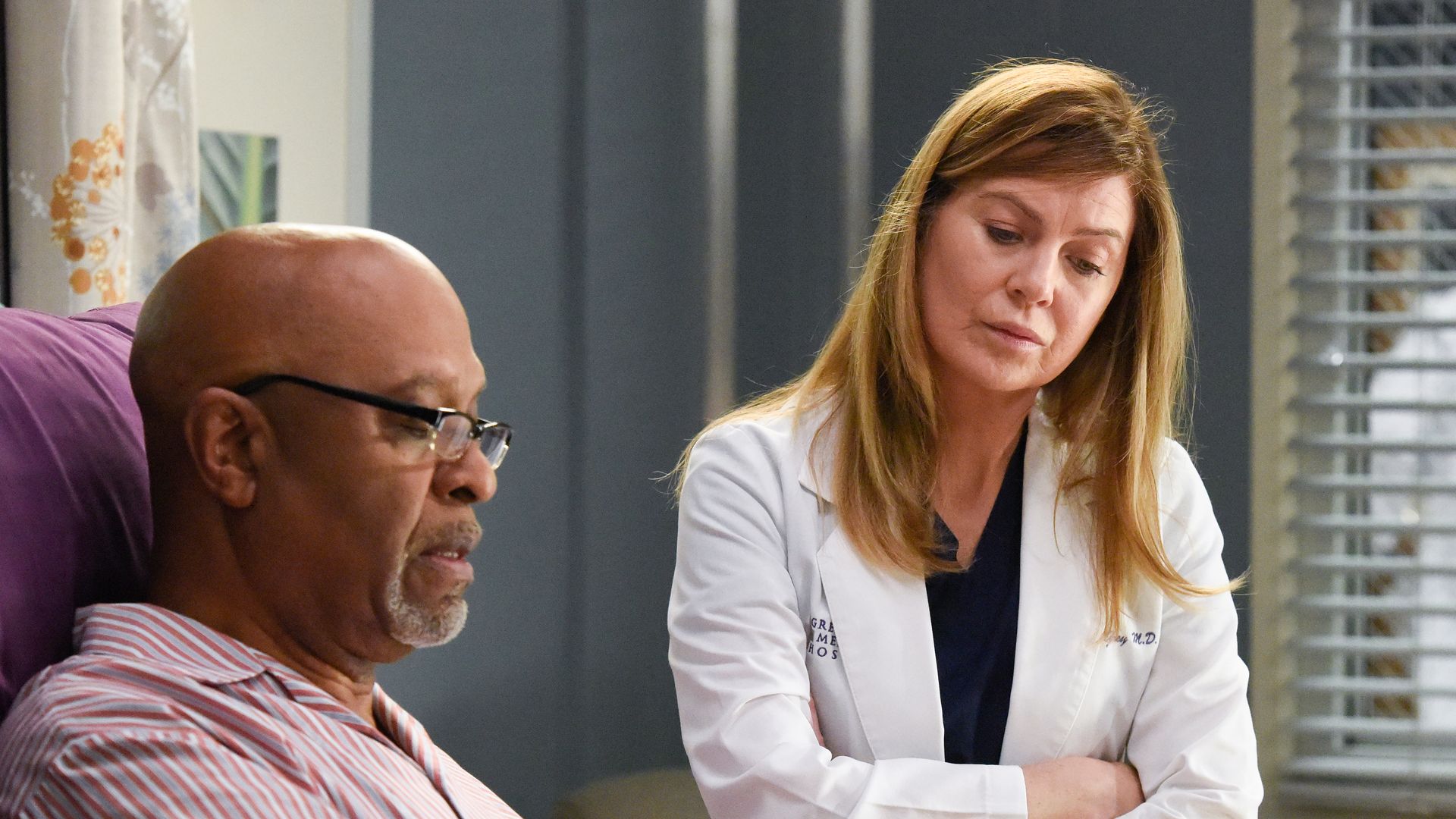James Pickens Jr. and Ellen Pompeo in Grey's Anatomy