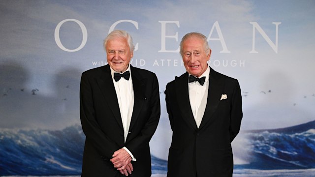 David Attenborough and King Charles III walked the blue carpet at the "Ocean With David Attenborough" World Premiere at The Royal Festival Hall