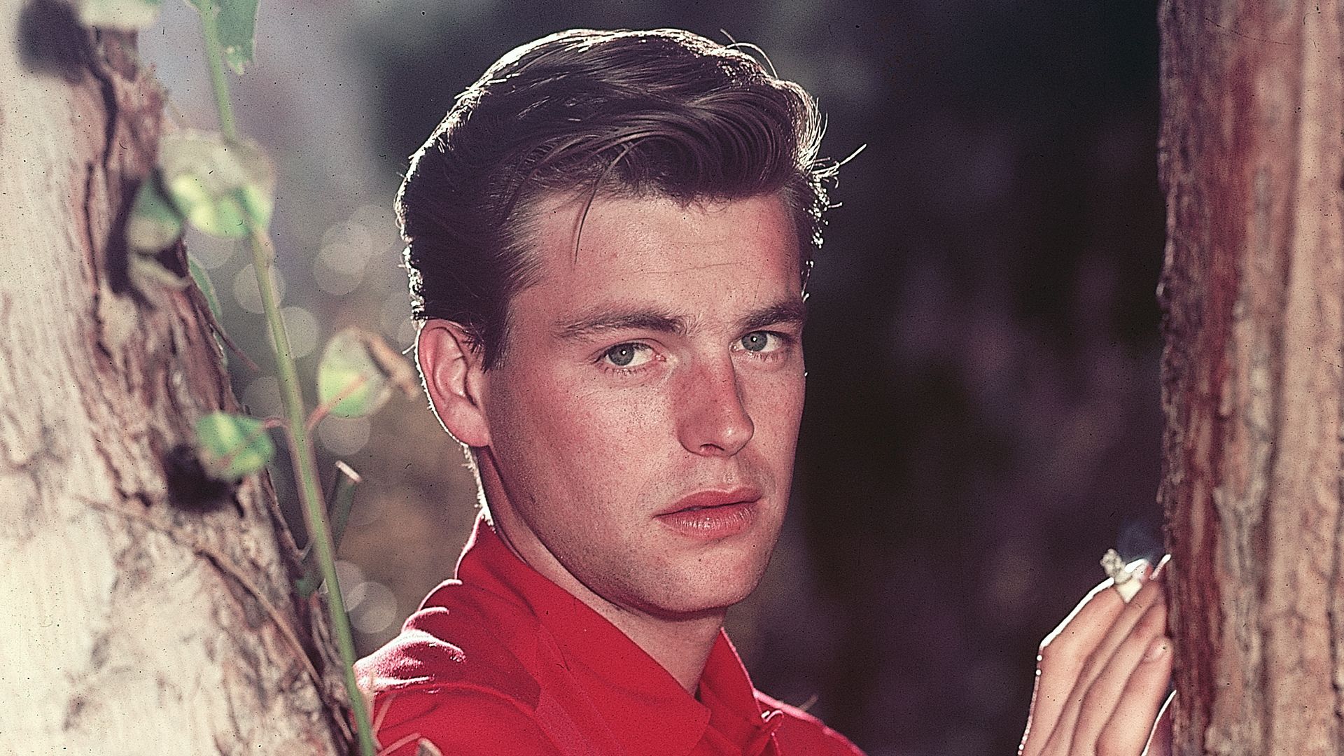 Robert Wagner's love life at 96: from fraught marriages to many affairs