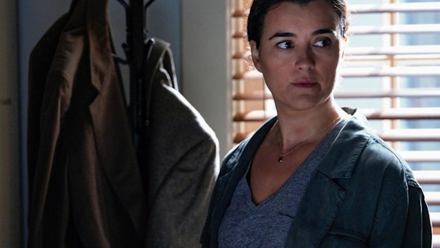 Cote de Pablo as Ziva David in NCIS