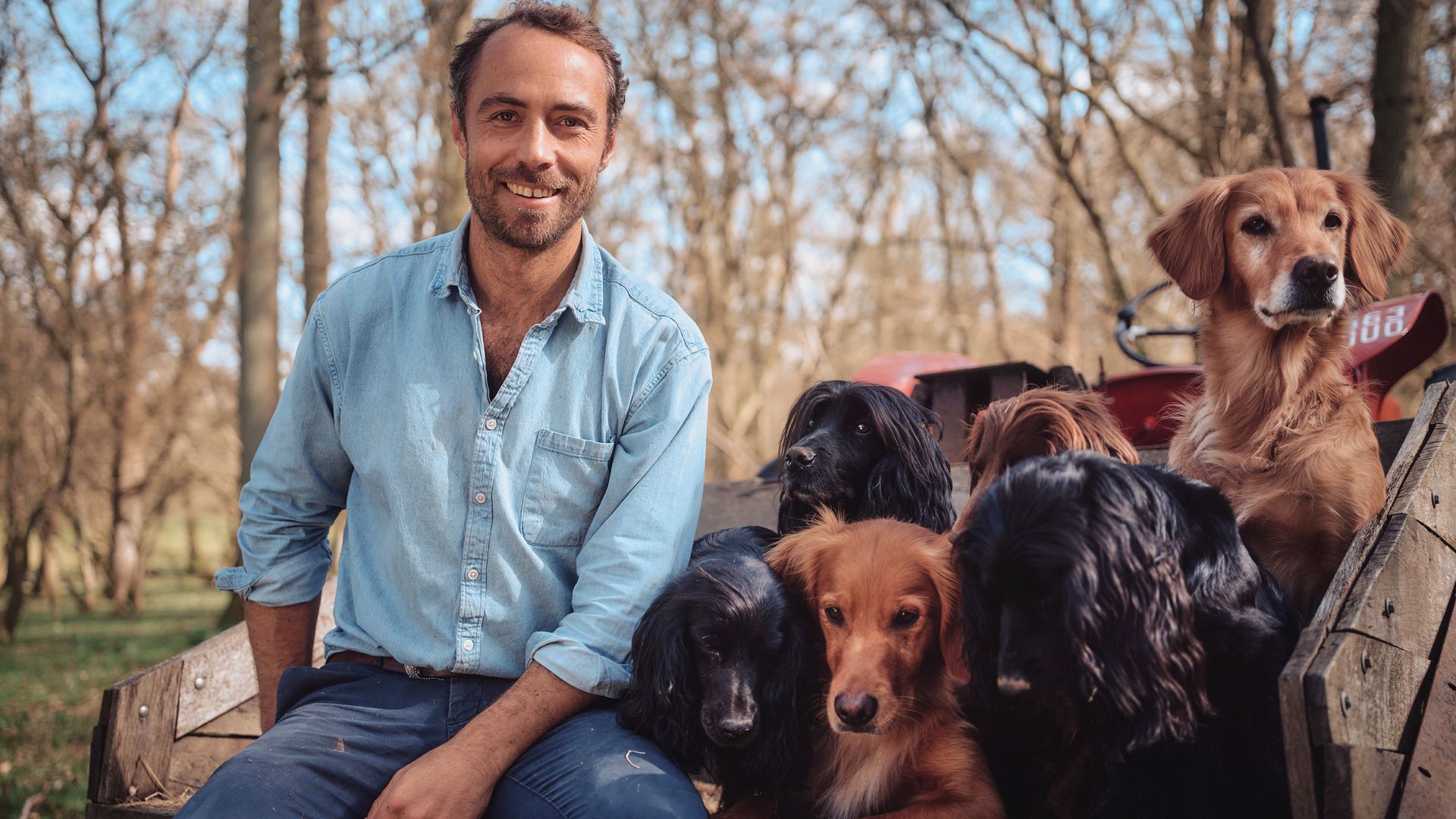 A man sitting in the back of a tractor with his six dogs