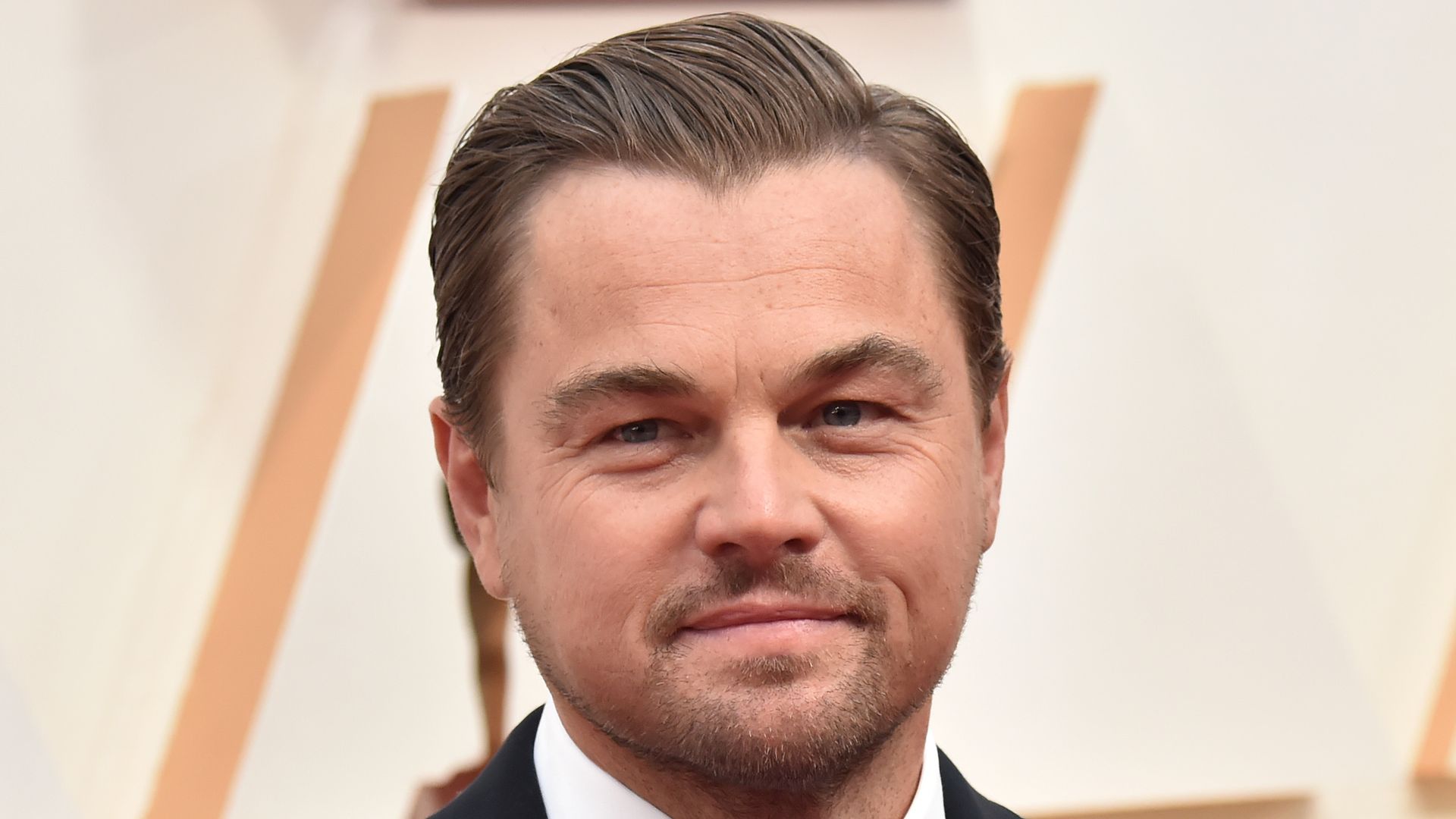 Leonardo DiCaprio on the red carpet in a smart suit