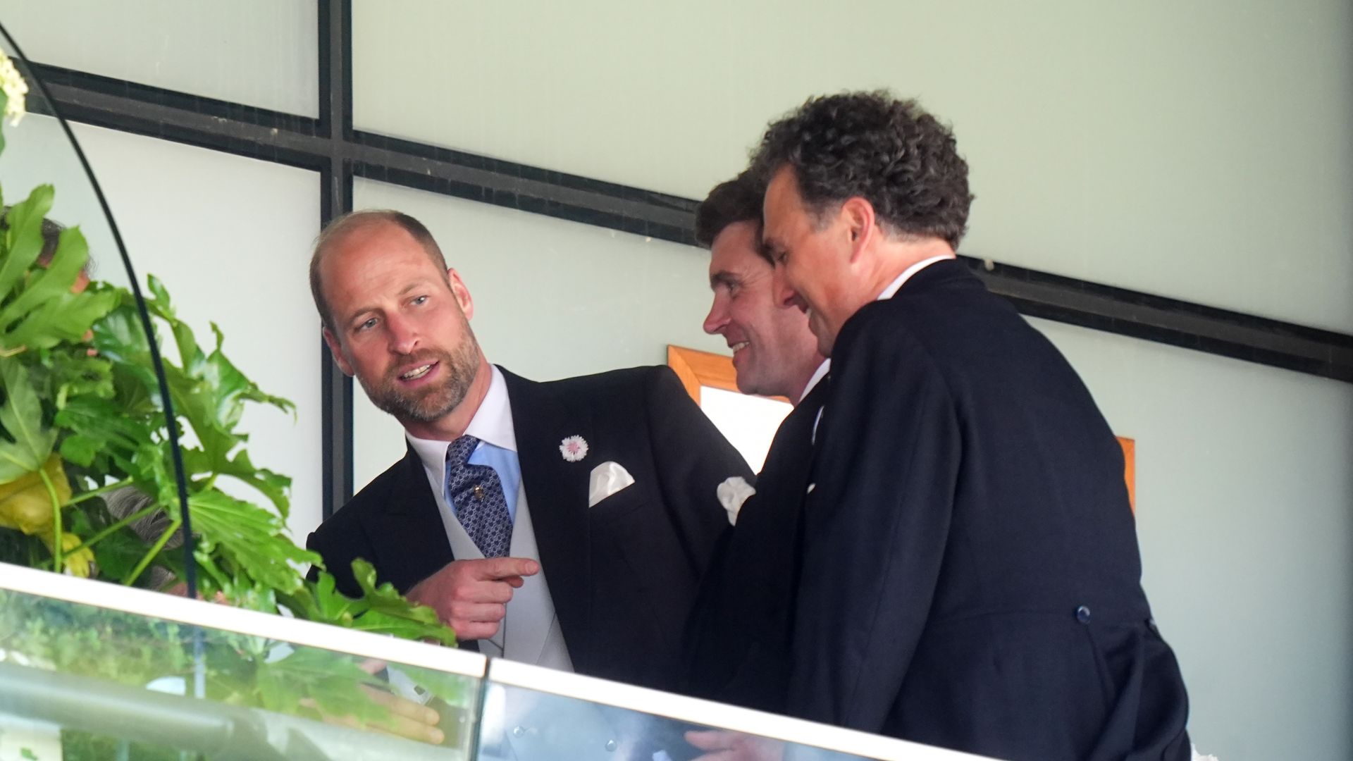 William in royal box at Royal Ascot