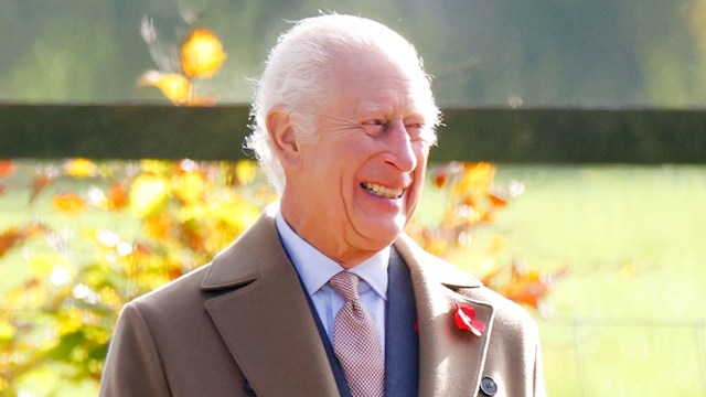 King Charles in a brown suit