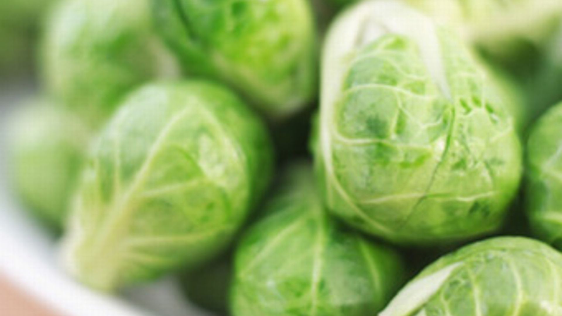 sprouts 