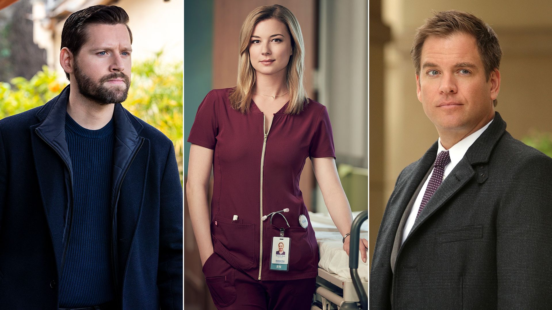 TV stars who quit iconic shows to spend time with their family: from Michael Weatherly to Emily VanCamp & more