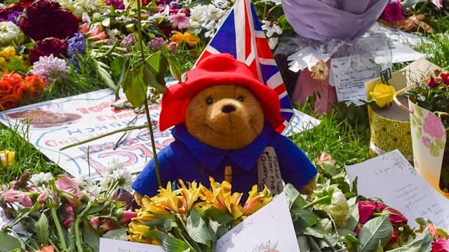 paddington bear sales