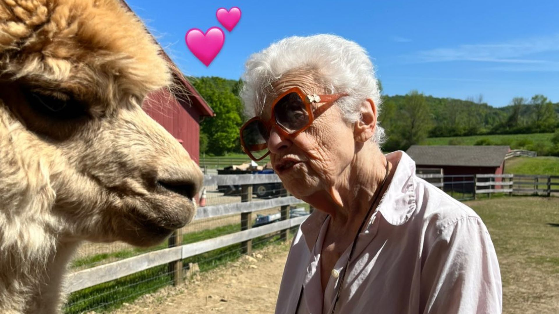 Patricia speaking with an alpaca on a farm