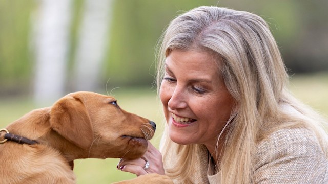 Duchess Sophie tickles puppy Axel under the chin