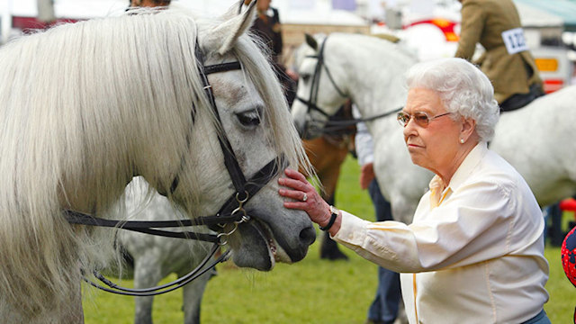 horse escorts queen dies
