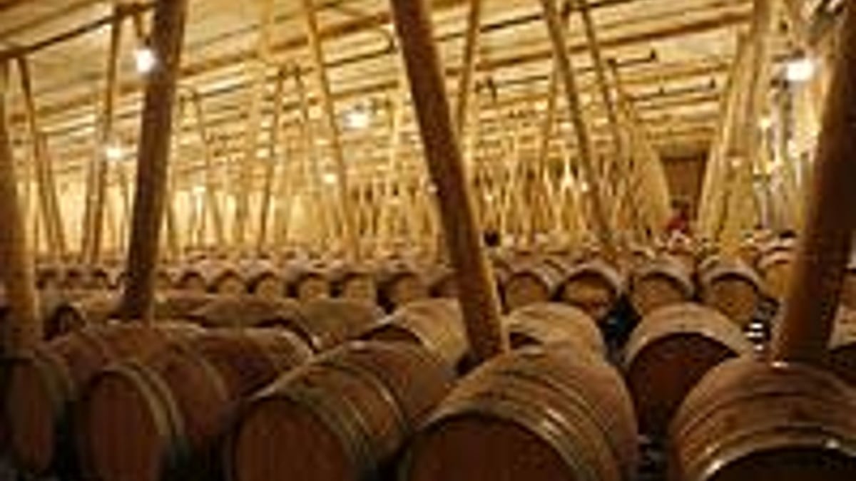 Antonio Banderas invests in winery HELLO!