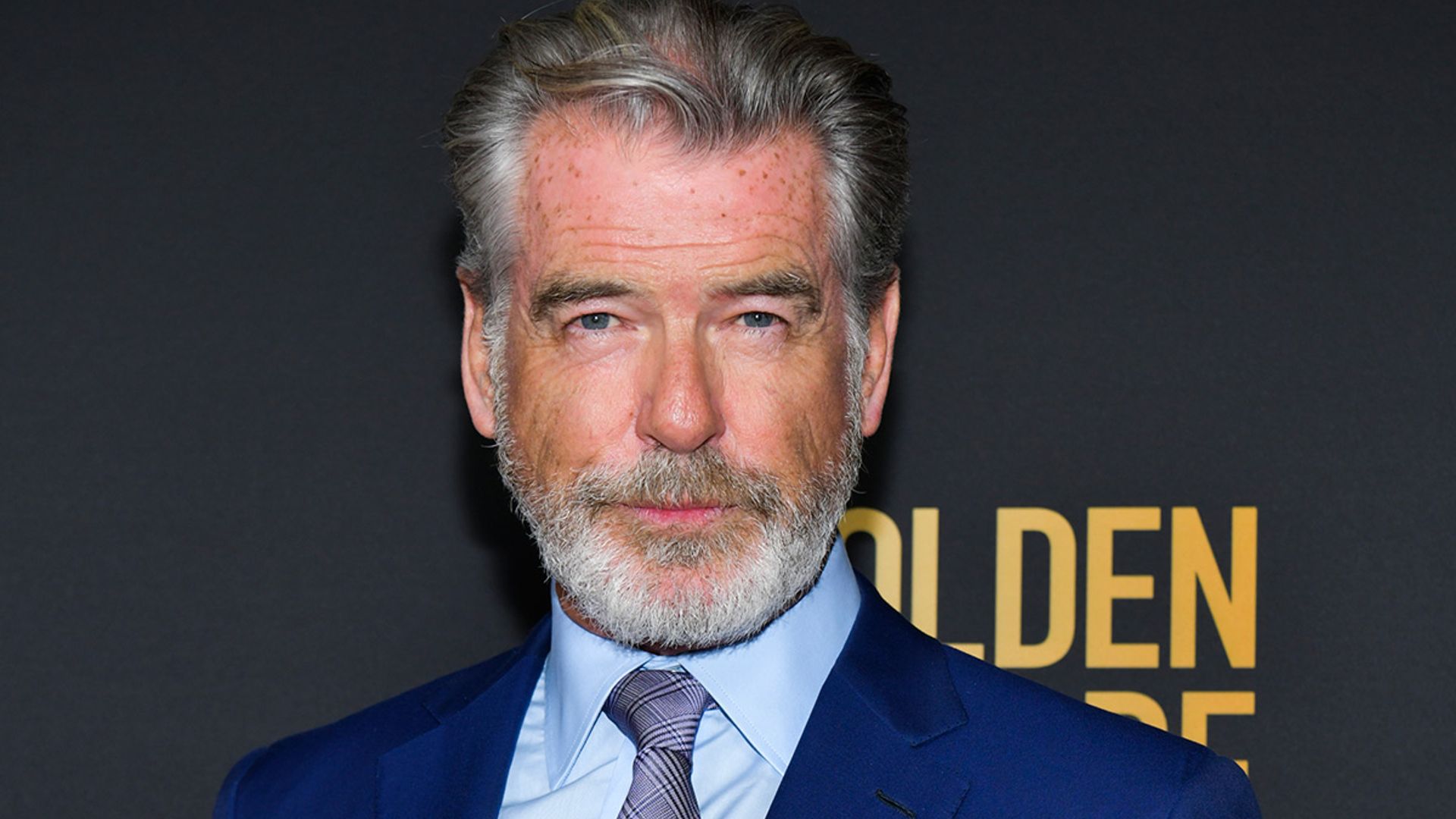 Actor - Pierce Brosnan