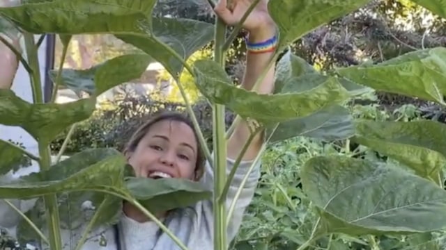 jennifer garner garden