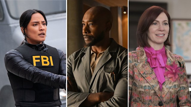 Stills from FBI, Watson, and Elsbeth
