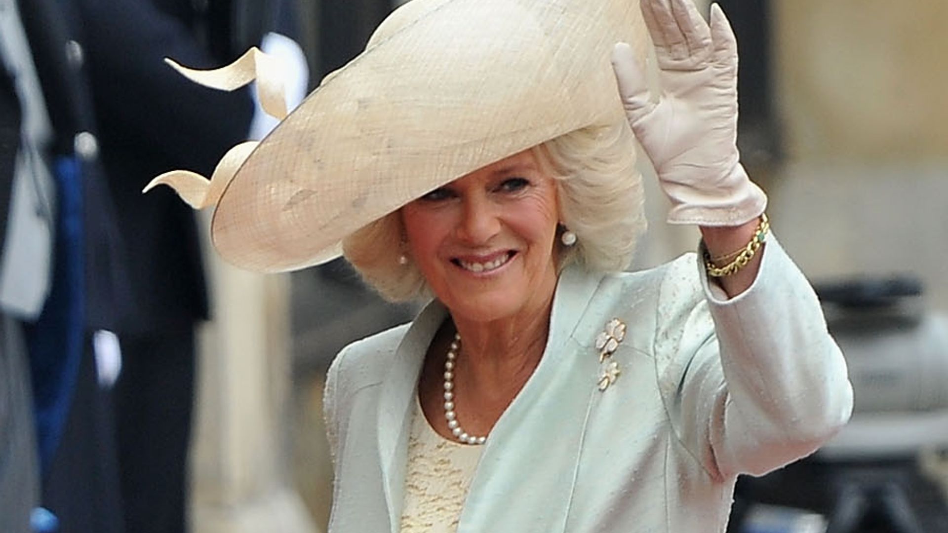 King Charles and Queen Camilla at Prince William's royal wedding in 2011