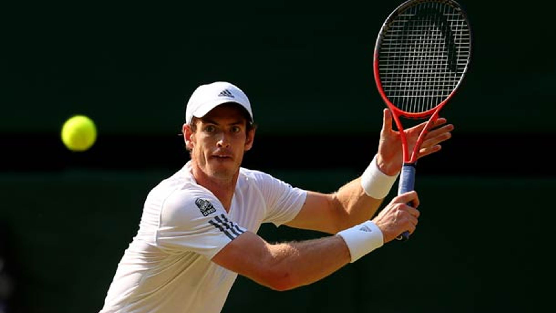 Andy Murray: Facts, figures, trivia and information about the tennis