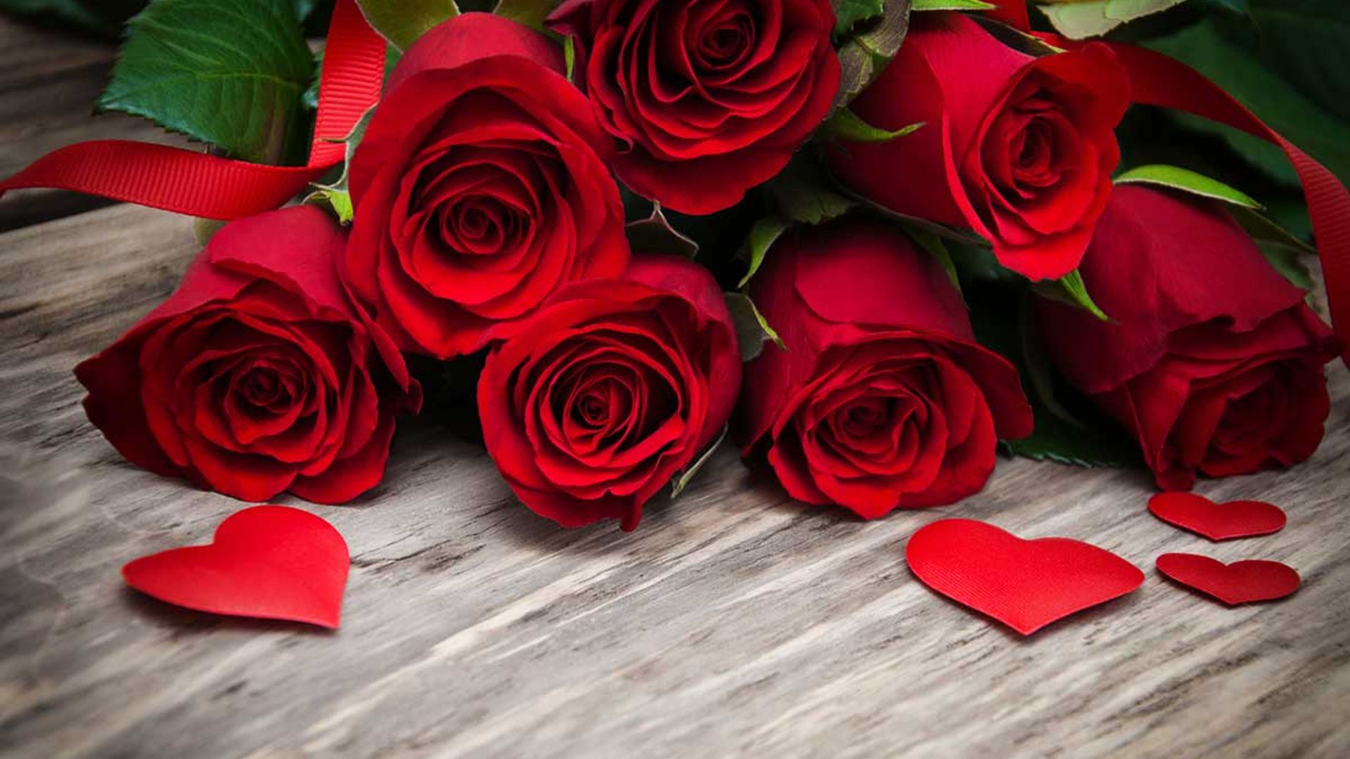 Valentine's Day 2023: 14 best roses to surprise your loved ones | HELLO!