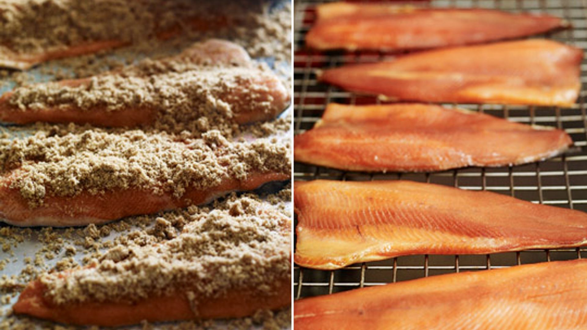 salmon 7 