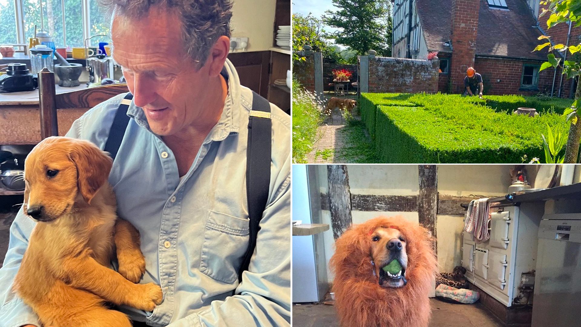 Split image of Monty Don in his kitchen, the exterior of Longmeadow, and one of Monty's dogs sitting in the kitchen