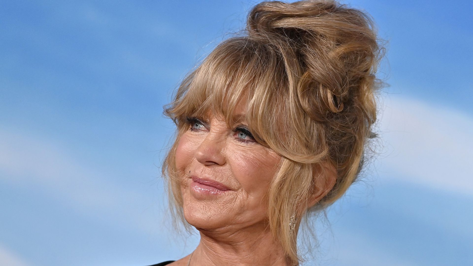 Goldie Hawn's ex-husband Bill Hudson: What she's said about their ...