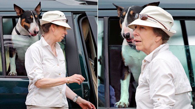 Princess Anne and her English bull terrier