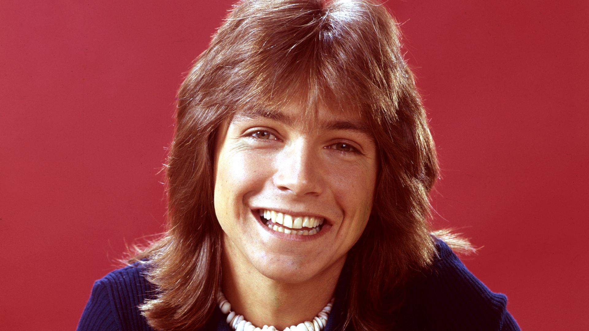 UNITED STATES - MAY 22:  THE PARTRIDGE FAMILY - gallery - Season Two - 5/22/72, David Cassidy (Keith),  (Photo by ABC Photo Archives/Disney General Entertainment Content via Getty Images)